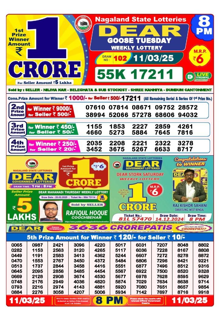 dear lottery result today 8 pm 11.03.2025